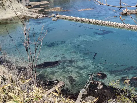 黄金岬から見える積丹の海