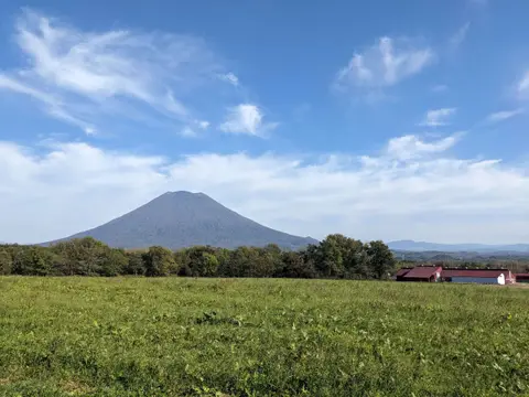 高橋牧場 羊蹄山
