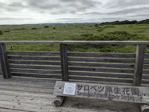 サロベツ湿原センターの木道
