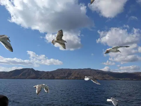 洞爺湖 遊覧船 カモメ