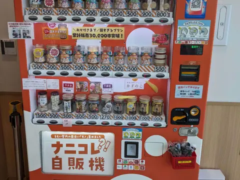 道の駅るもい 固すぎるプリン自販機