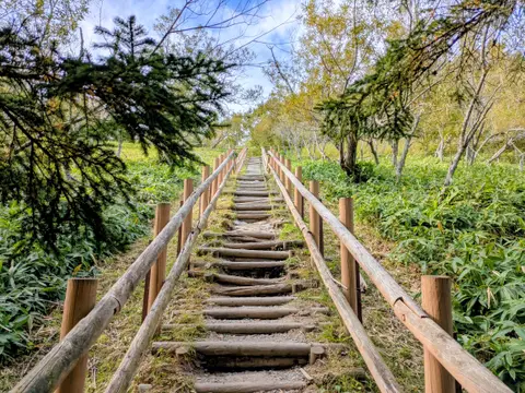 コッタロ湿原展望台 木階段