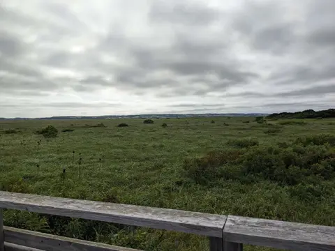 サロベツ湿原センターの景色