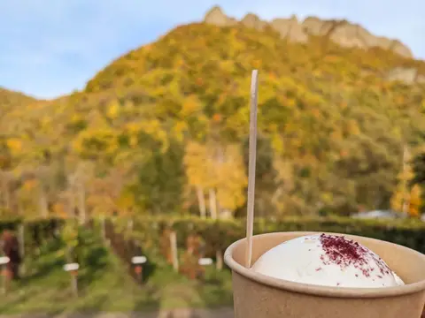 八剣山キッチン&マルシェワイナリーのジェラートと八剣山