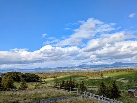 900草原の景色