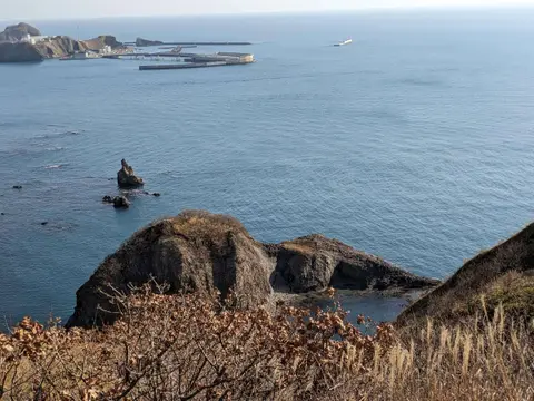 室蘭八景 マスイチ浜展望台 象岩