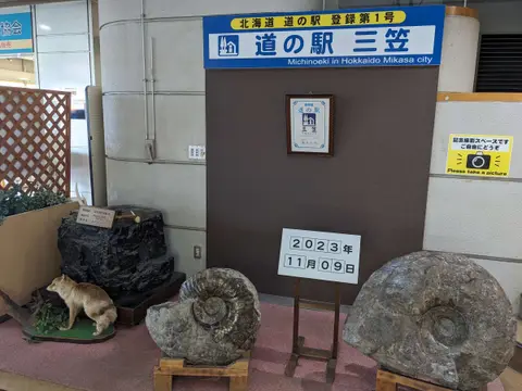 道の駅みかさ_アンモナイトの化石