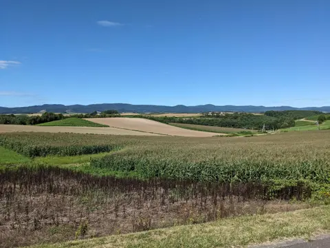 新栄の丘展望公園 西側の景色