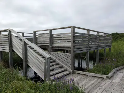 サロベツ湿原センターの木道